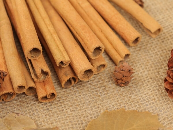 cinnamon-sticks-5.jpg