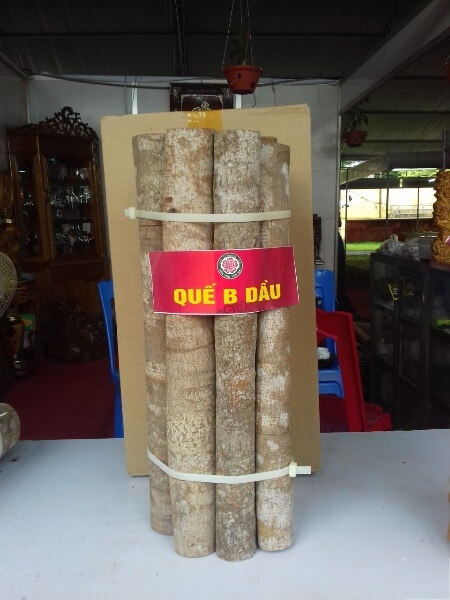Vietnamese-tube-cinnamon-4.jpg