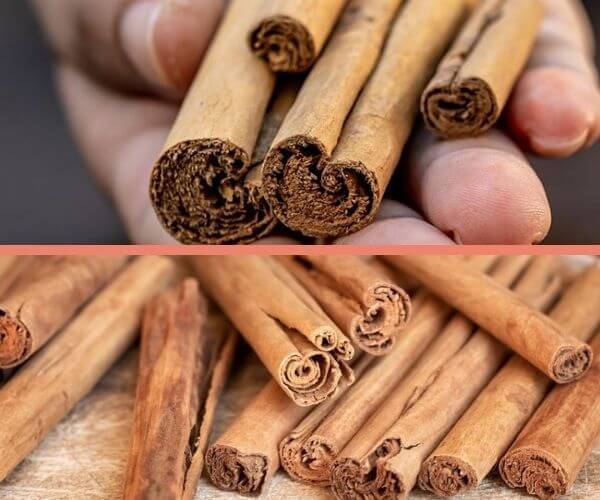 cinnamon-exporters-in-sri-lanka-the-wisdom-choice-to-cooperate-3