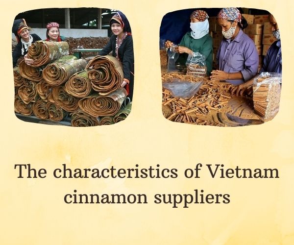 vietnam-cinnamon-suppliers-some-facts-to-distinguish-with-others-2