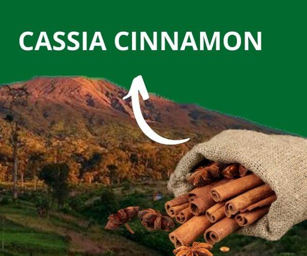 cinnamon-from-indonesia-1.jpg