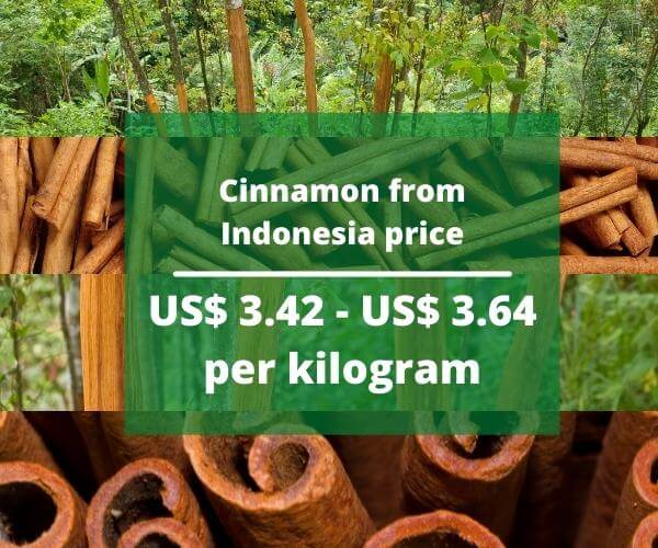 cinnamon-from-indonesia-4.jpg