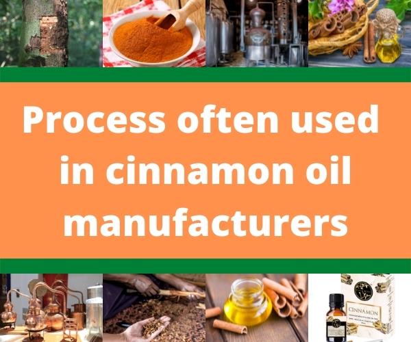 cinnamon-oil-manufacturers-5.jpg
