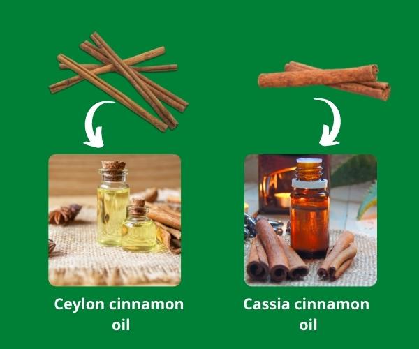 cinnamon-oil-manufacturers-6.jpg