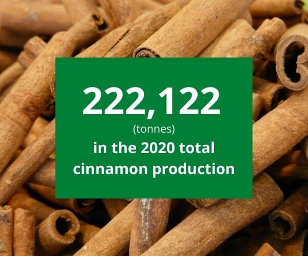 cinnamon-sticks-in-bulk-10.jpg