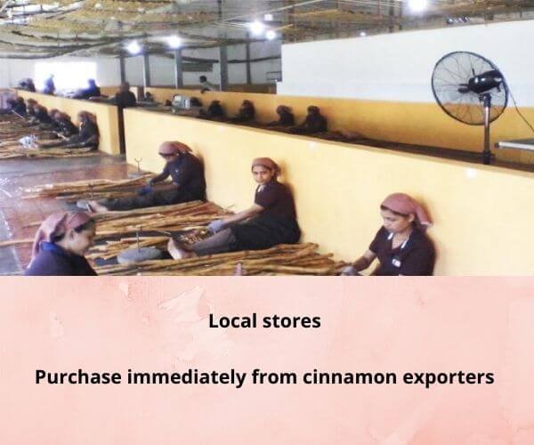 cinnamon-exporters-in-sri-lanka-the-wisdom-choice-to-cooperate-5