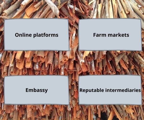 important-information-about-split-cinnamon-for-traders-in-the-world-9