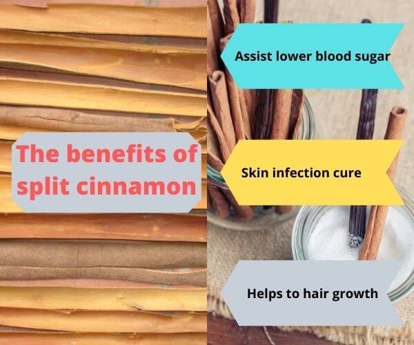 important-information-about-split-cinnamon-for-traders-in-the-world-3