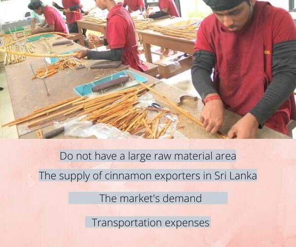 cinnamon-exporters-in-sri-lanka-the-wisdom-choice-to-cooperate-6