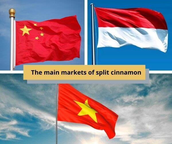 important-information-about-split-cinnamon-for-traders-in-the-world-2