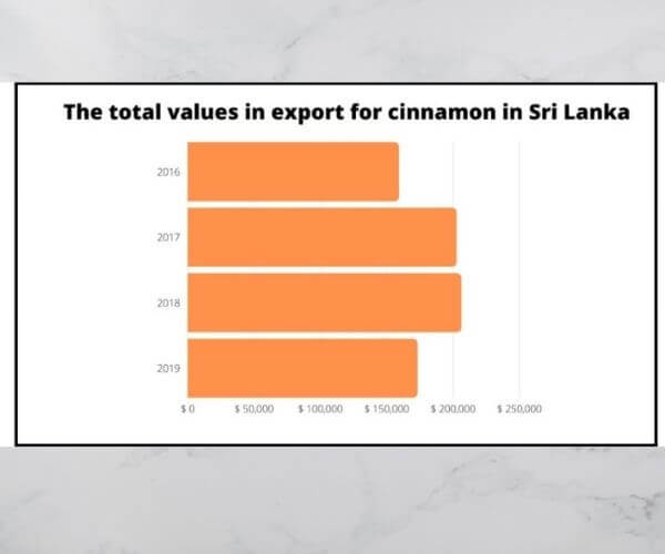 cinnamon-exporters-in-sri-lanka-the-wisdom-choice-to-cooperate-4