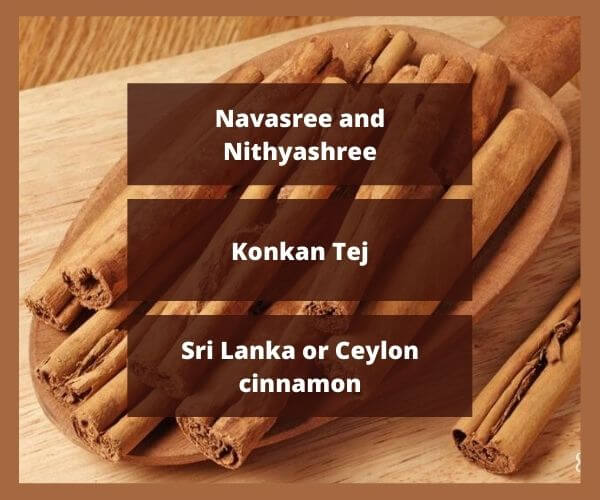 Cinnamon-suppliers-in-India-3. jpg