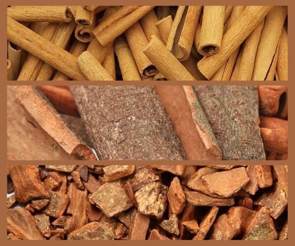 Cinnamon-suppliers-in-India-4. jpg