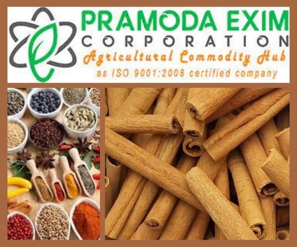 Cinnamon-suppliers-in-India-7. jpg