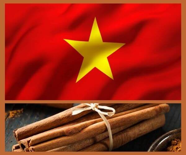 Vietnamese-cinnamon-vs-regular-cinnamon-1. jpg