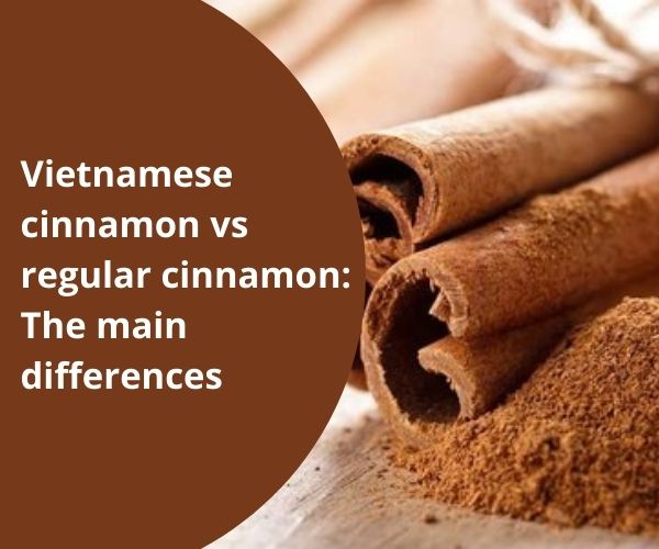 vietnamese-cinnamon-vs-regular-cinnamon-the-main-differences-10