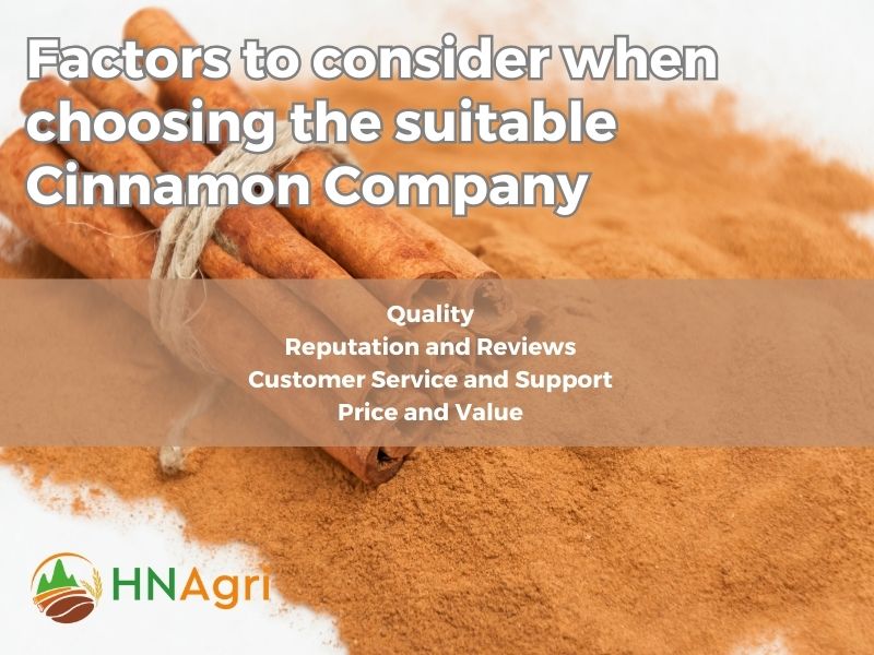 top-cinnamon-company-unveiling-the-best-in-spice-industry-7