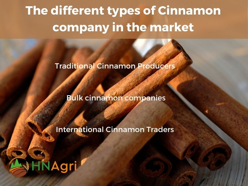 top-cinnamon-company-unveiling-the-best-in-spice-industry-4
