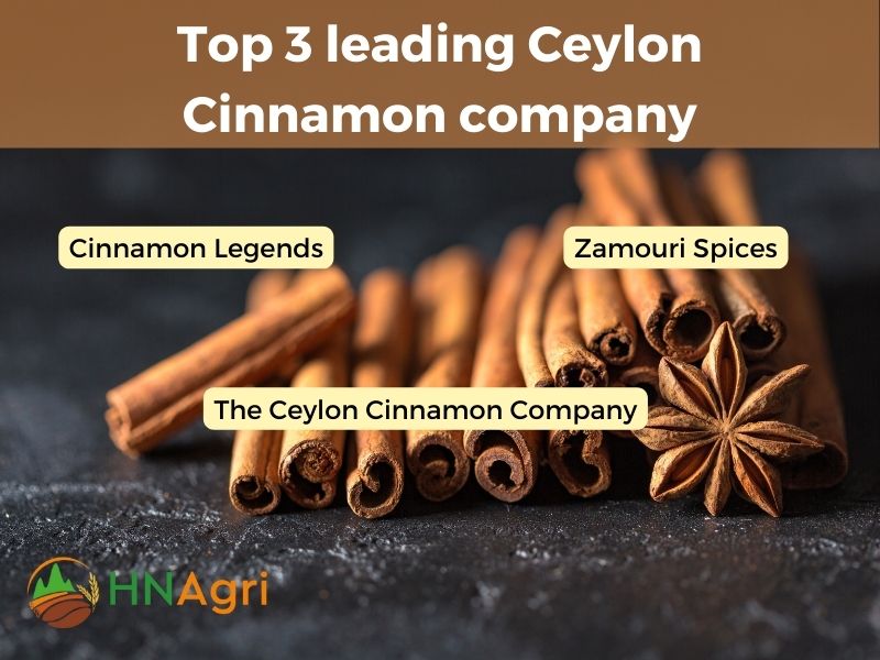 top-cinnamon-company-unveiling-the-best-in-spice-industry-6