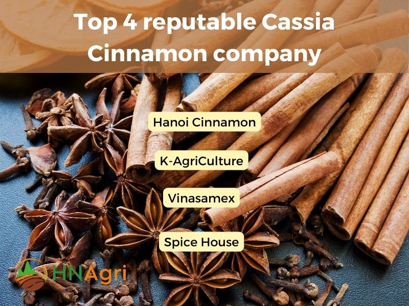 top-cinnamon-company-unveiling-the-best-in-spice-industry-5