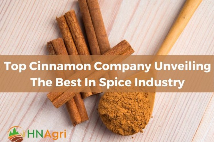 top-cinnamon-company-unveiling-the-best-in-spice-industry-1