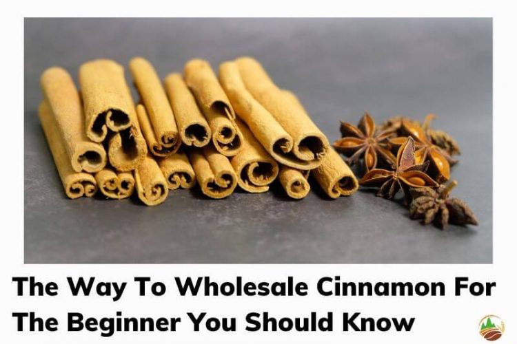 the-way-to-wholesale-cinnamon-for-the-beginner-you-should-know-0