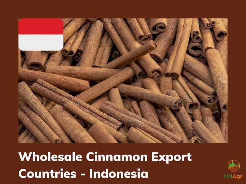 https://hncinnamon.com/the-way-to-wholesale-cinnamon-for-the-beginner-you-should-know-9