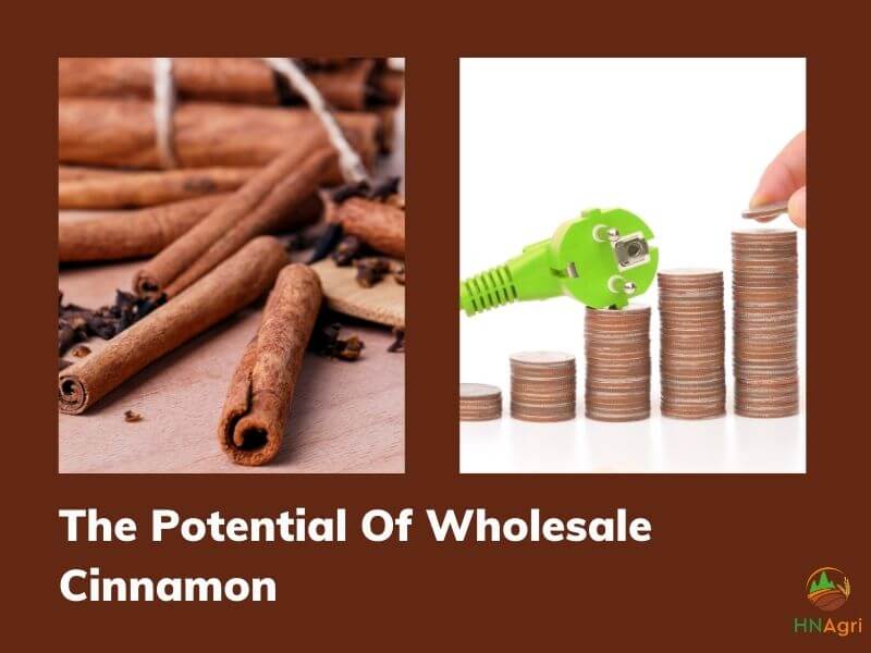 https://hncinnamon.com/the-way-to-wholesale-cinnamon-for-the-beginner-you-should-know-1
