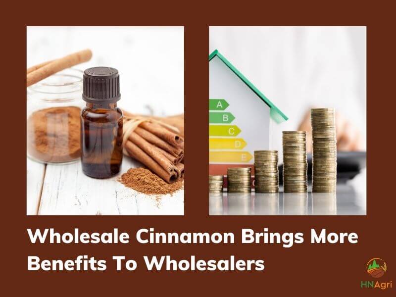 https://hncinnamon.com/the-way-to-wholesale-cinnamon-for-the-beginner-you-should-know-2