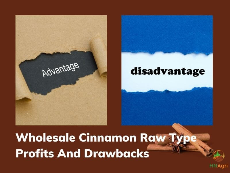 https://hncinnamon.com/the-way-to-wholesale-cinnamon-for-the-beginner-you-should-know-3