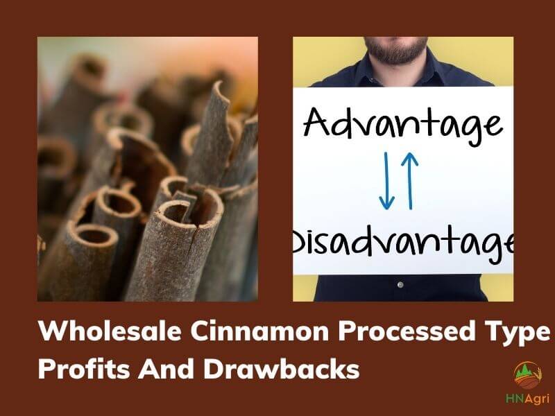 https://hncinnamon.com/the-way-to-wholesale-cinnamon-for-the-beginner-you-should-know-4