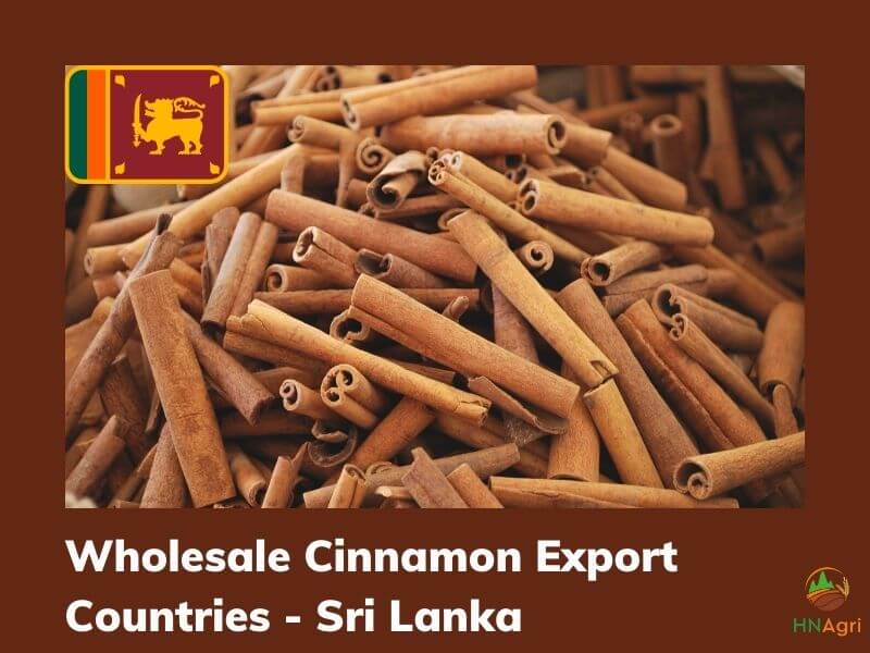 https://hncinnamon.com/the-way-to-wholesale-cinnamon-for-the-beginner-you-should-know-7