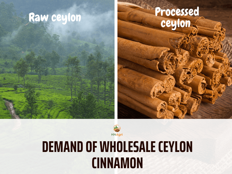 https://hncinnamon.com/wholesale-ceylon-cinnamon-for-the-newbie-you-must-know-2