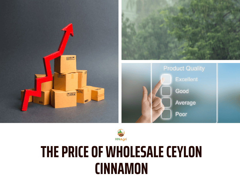 https://hncinnamon.com/wholesale-ceylon-cinnamon-for-the-newbie-you-must-know-8