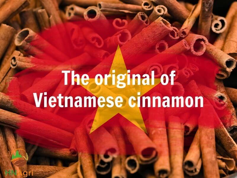 potential-vietnamese-cinnamon-that-you-cannot-ignore-1