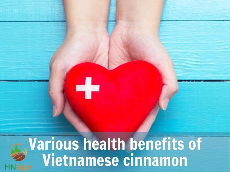 potential-vietnamese-cinnamon-that-you-cannot-ignore-4