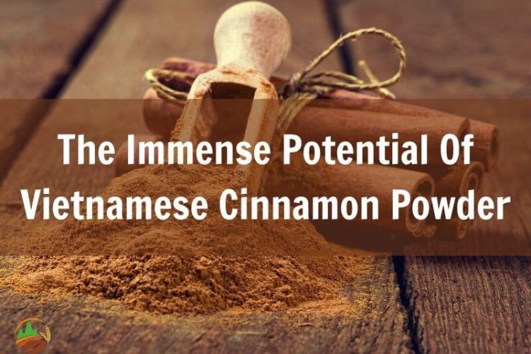 the-immense-potential-of-vietnamese-cinnamon-powder