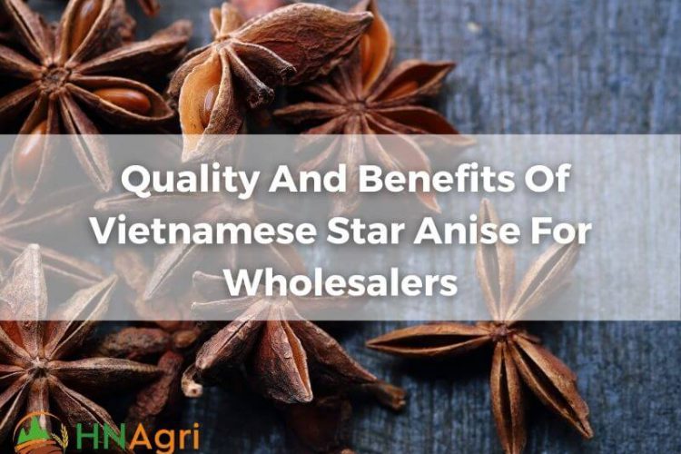 quality-and-benefits-of-vietnamese-star-anise-for-wholesalers