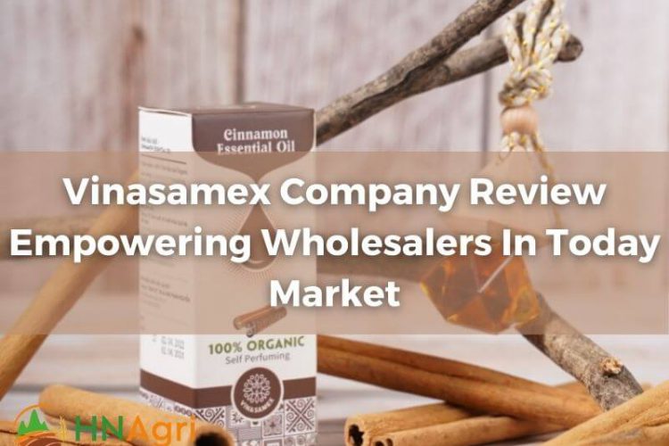 vinasamex-company-review-empowering-wholesalers-in-today-market