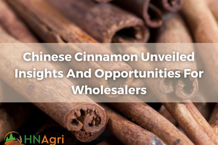 chinese-cinnamon-unveiled-insights-and-opportunities-for-wholesalers