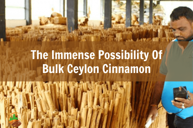 the-immense-possibility-of-bulk-ceylon-cinnamon