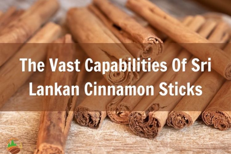 the-vast-capabilities-of-sri-lankan-cinnamon-sticks