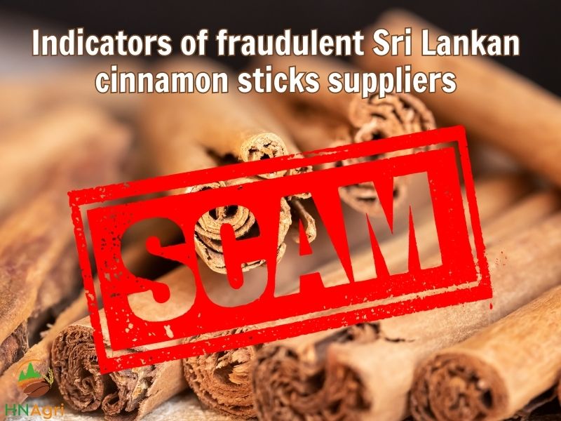 the-vast-capabilities-of-sri-lankan-cinnamon-sticks-9