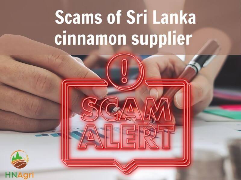 sri-lankan-cinnamon-potential-merchandise-that-you-cannot-ignore-8