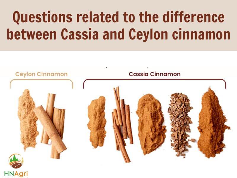 cassia-vs-ceylon-cinnamon-which-is-the-better-choice-1
