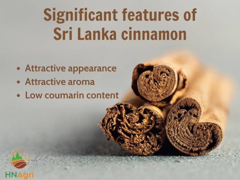 sri-lankan-cinnamon-potential-merchandise-that-you-cannot-ignore-1