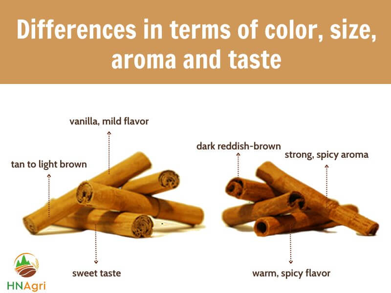 cassia-vs-ceylon-cinnamon-which-is-the-better-choice-2