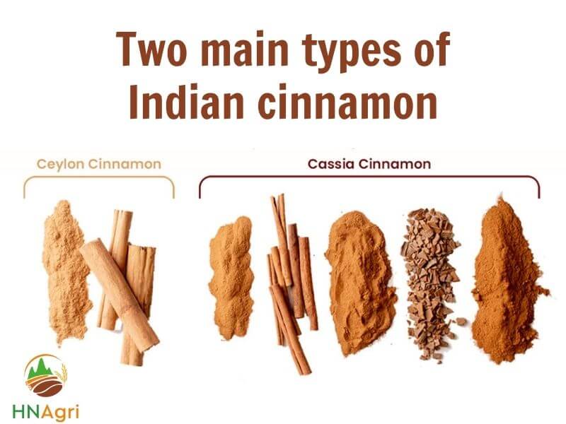 all-about-indian-cinnamon-that-should-not-be-missed-2