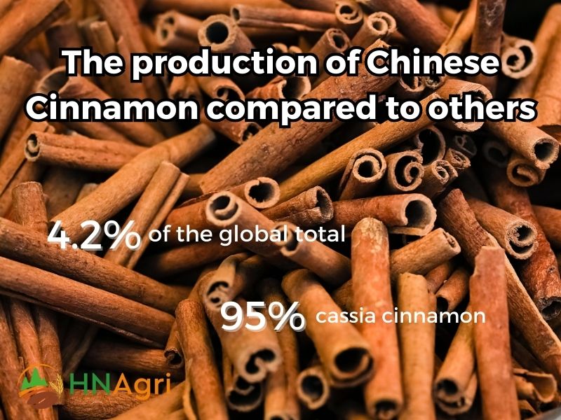 chinese-cinnamon-unveiled-insights-and-opportunities-for-wholesalers-2