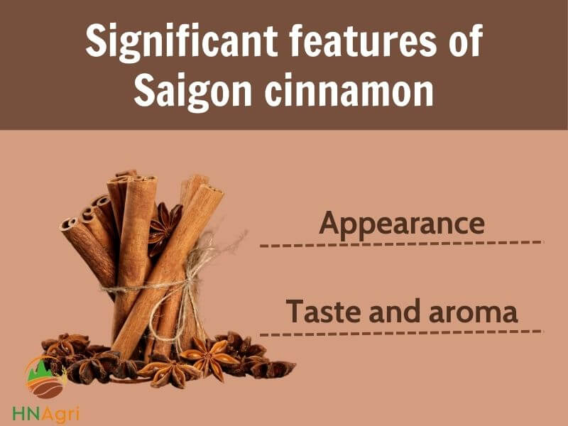 potential-saigon-cinnamon-that-you-cannot-ignore-2